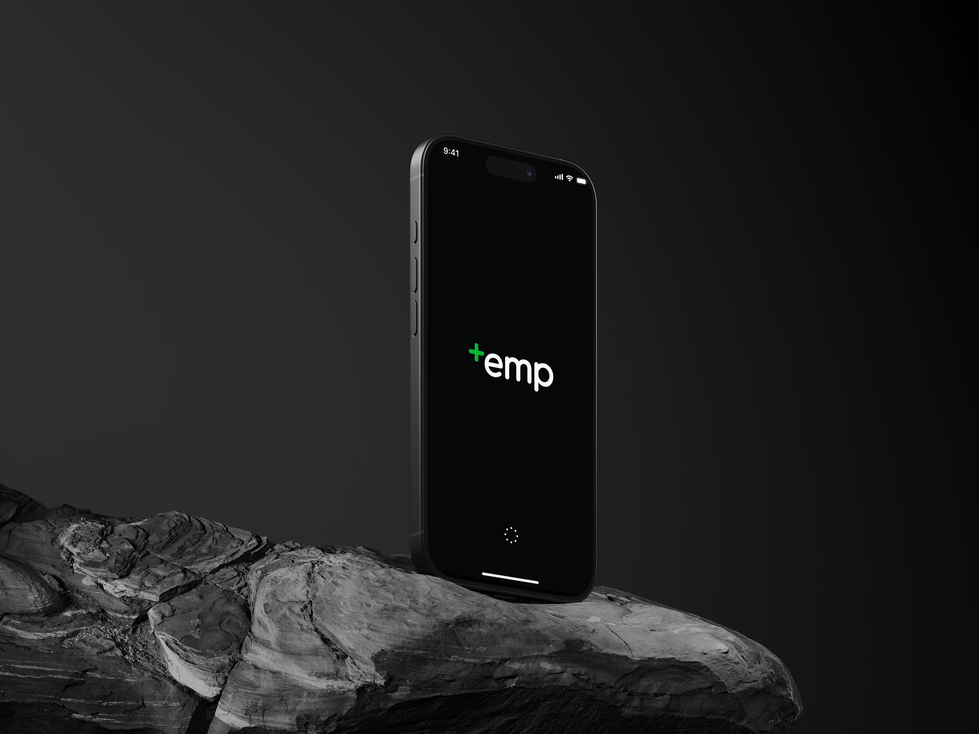 +emp project overview